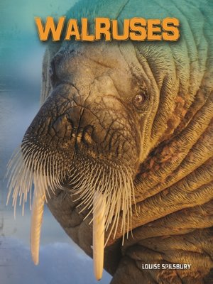 cover image of Walruses